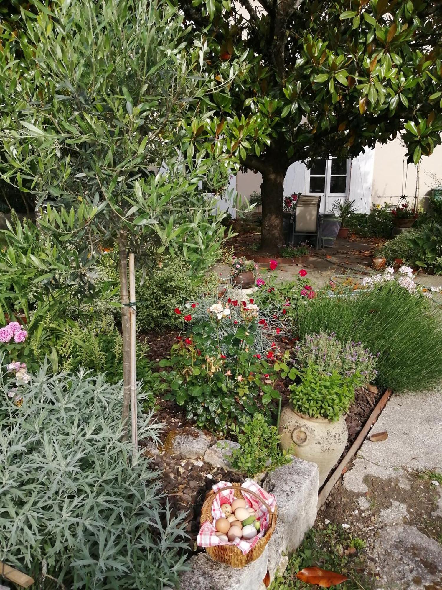 Au Logis De Vechillot Bed & Breakfast Angoulême Eksteriør bilde