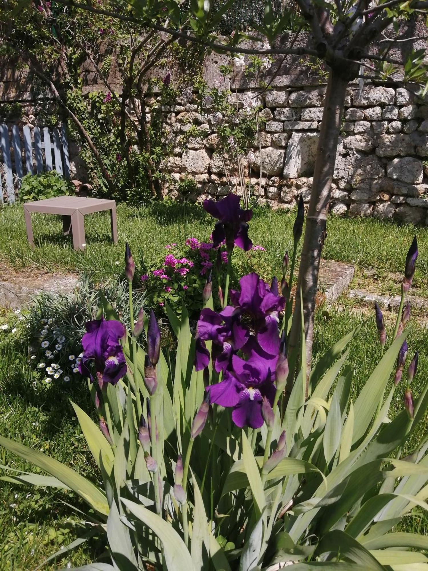 Au Logis De Vechillot Bed & Breakfast Angoulême Eksteriør bilde